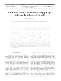 Patterns of vertical distribution in epipelagic