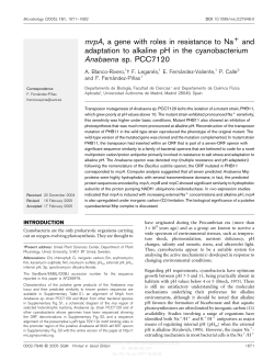 mrpA, a gene with roles in resistance to Na and