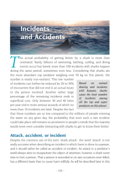 Incidents and Accidents