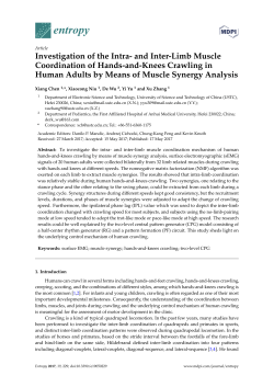 Investigation of the Intra- and Inter