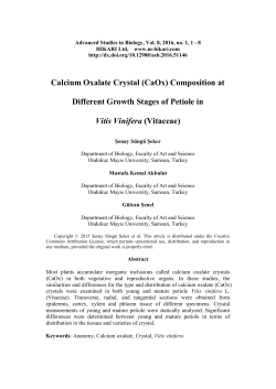 Calcium Oxalate Crystal (CaOx) Composition at Different Growth