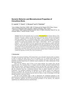 Dynamic Behavior and Microstructural Properties of Cancellous Bone.
