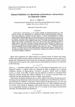 Ethanol Inhibition of a Bacterium (Acinetobncter