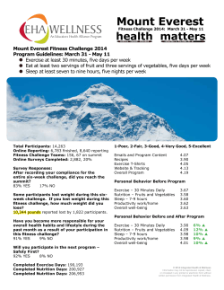 Mount Everest - EHA Wellness