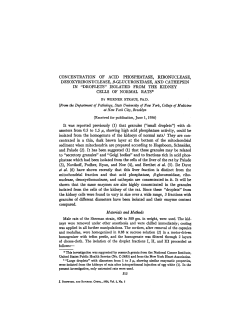 CONCENTRATION OF ACID PHOSPHATASE