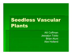 Seedless Vascular Pl tans