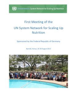 First Meeting of the UN System Network for Scaling Up Nutrition