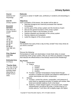 Urinary System