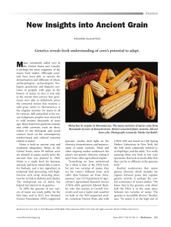 New Insights into Ancient Grain