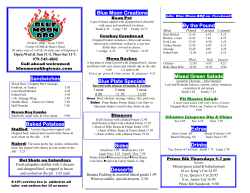 Regular Menu - BLUE MOON BBQ