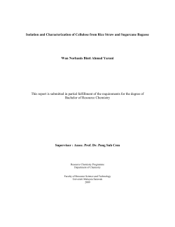 Isolation and Characterization of Cellulose from Rice