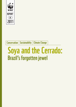 Brazil`s forgotten jewel