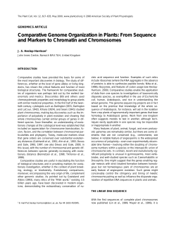 Comparative Genome Organization in Plants: From Sequence and