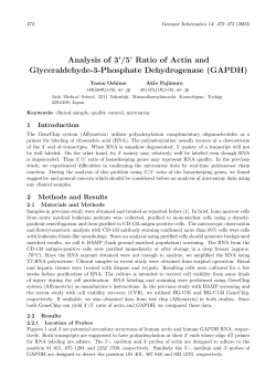 Analysis of 3`/5` Ratio of Actin and Glyceraldehyde-3