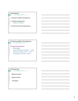 Development Physical and Motor Development Prenatal