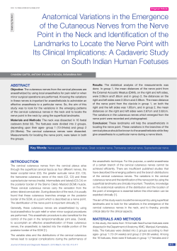 Anatomical Variations in the Emergence of the Cutaneous Nerves