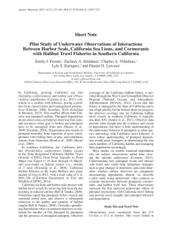 Short Note Pilot Study of Underwater Observations of Interactions