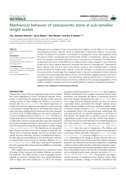 Mechanical behavior of osteoporotic bone at sub