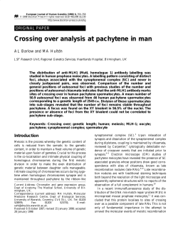 Crossing over analysis at pachytene in man