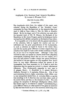 Amphipoda of the Southern Cross Antarctic Expedition.