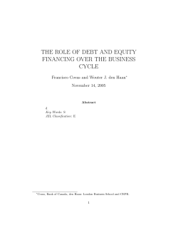The role of debt and equity financing over the