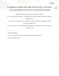 a general model for the structure, function, and allometry of plant
