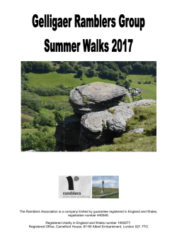 Summer 2017 programme