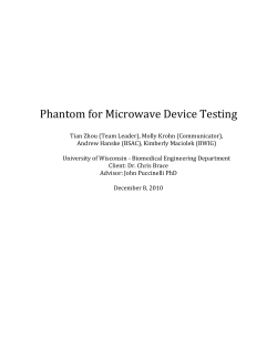 Phantom for Microwave Device Testing