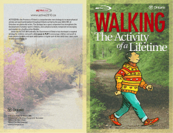 The Activity Lifetime The Activity Lifetime