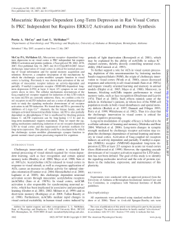 Muscarinic Receptor–Dependent Long