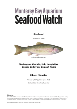 Steelhead - Seafood Watch