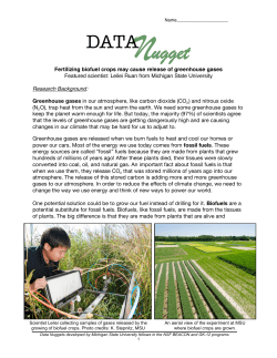 Fertilizing biofuel crops may cause release of greenhouse gases