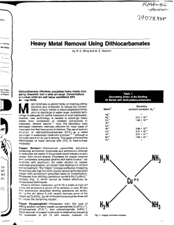as a PDF