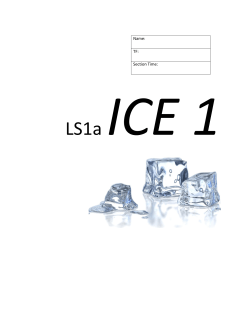 LS1a ICE 1