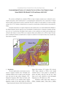 Geomorphological Features of Avalanche Furrows in Heavy Snow