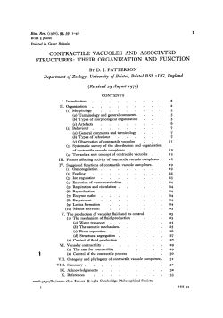 contractile vacuoles and associated structures