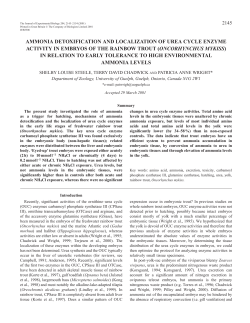 Ammonia detoxification in rainbow trout