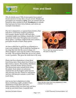 Hide and Seek - Discovery Education