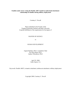 Families under stress: Using the Double ABCX model to understand