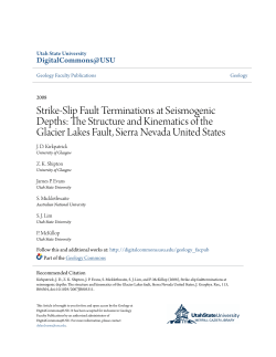 Strike-Slip Fault Terminations at Seismogenic Depths: The Structure