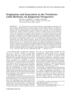 Origination and innovation in the vertebrate limb skeleton: an