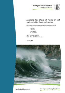 Assessing the effects of fishing on soft sediment habitat, fauna