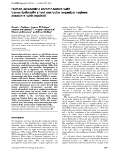 Human acrocentric chromosomes with transcriptionally silent