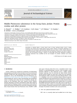 Middle Pleistocene subsistence in the Azraq Oasis, Jordan: Protein