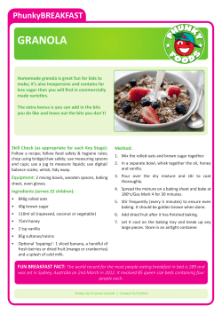 granola - Phunky Foods