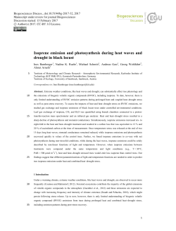 Isoprene emission and photosynthesis during heat waves and