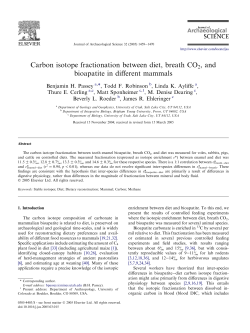 Carbon isotope fractionation between diet, breath CO2, and