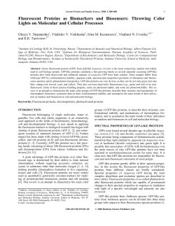 Fluorescent Proteins as Biomarkers and Biosensors: Throwing Color