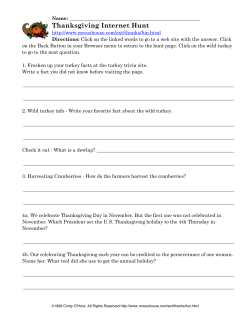 Thanksgiving Internet Hunt