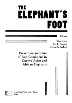 ELEPHANT`S FOOT Editors Blair Csuti Eva L. Sargent